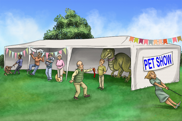 It was in the extension of the tent (extent) that the judges decided the results of the town's pet competition.